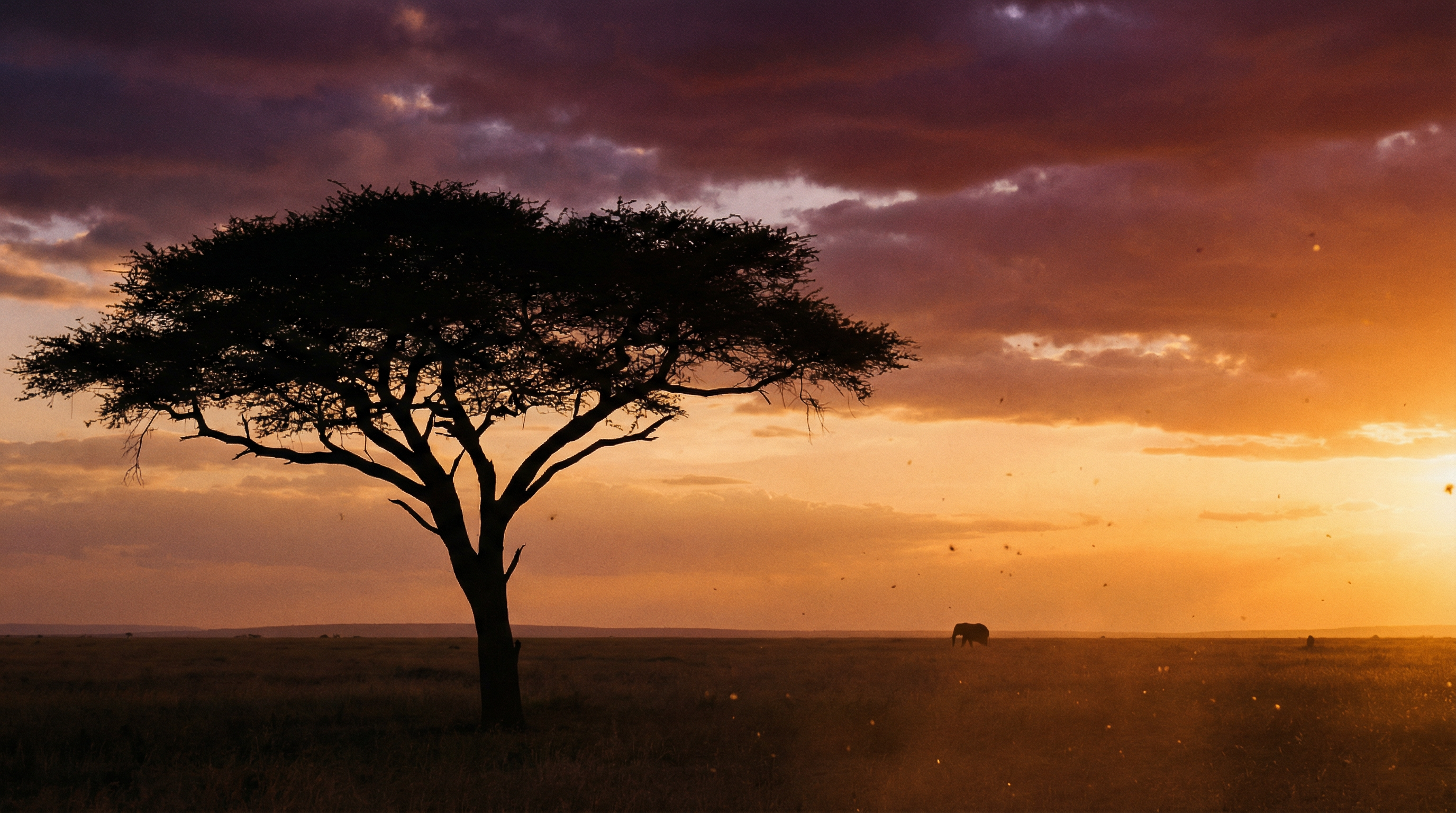 Tanzania Savannah at Sunset